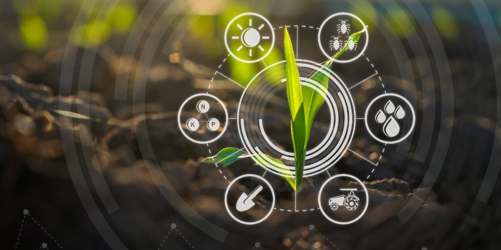 Agricultura Regenerativa